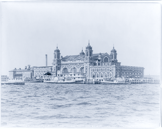 Archival Ellis Island photograph, progressively treated in the Perebel duotone