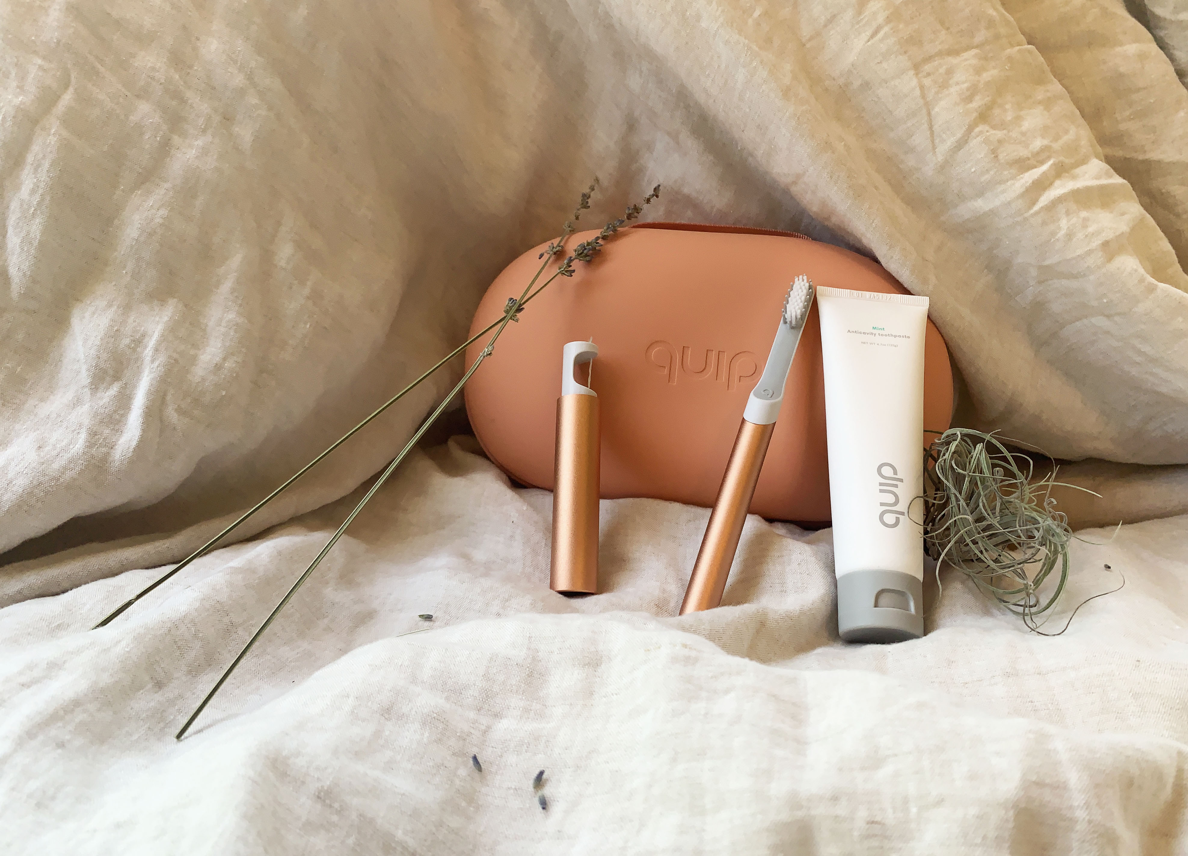 Detail shot — close-up of brush head